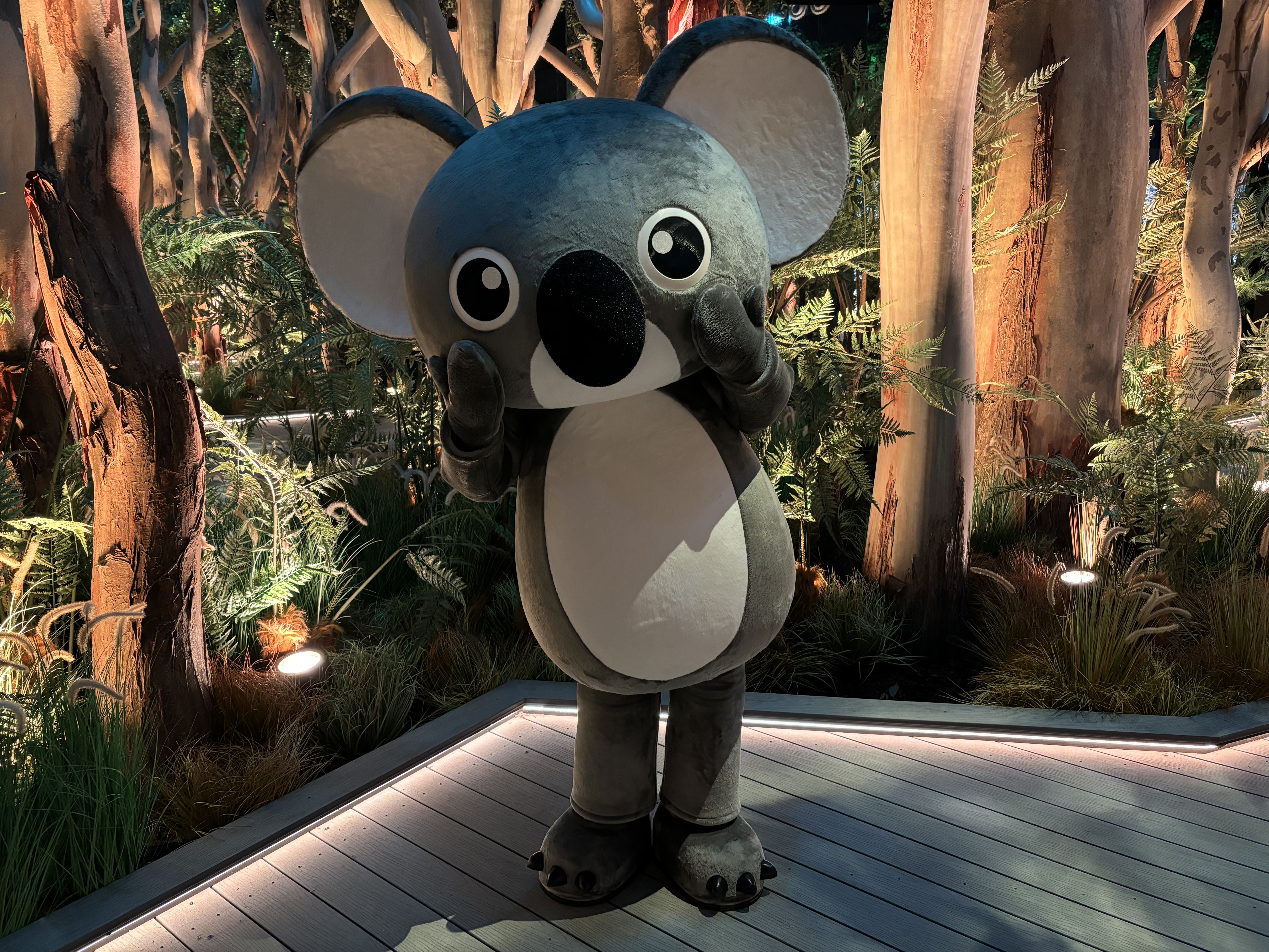 Koko the Koala, Australia’s newest furry ambassador for World Expo 2025 Osaka, Kansai, stands in a beautifully lit eucalyptus-inspired Australia Pavilion